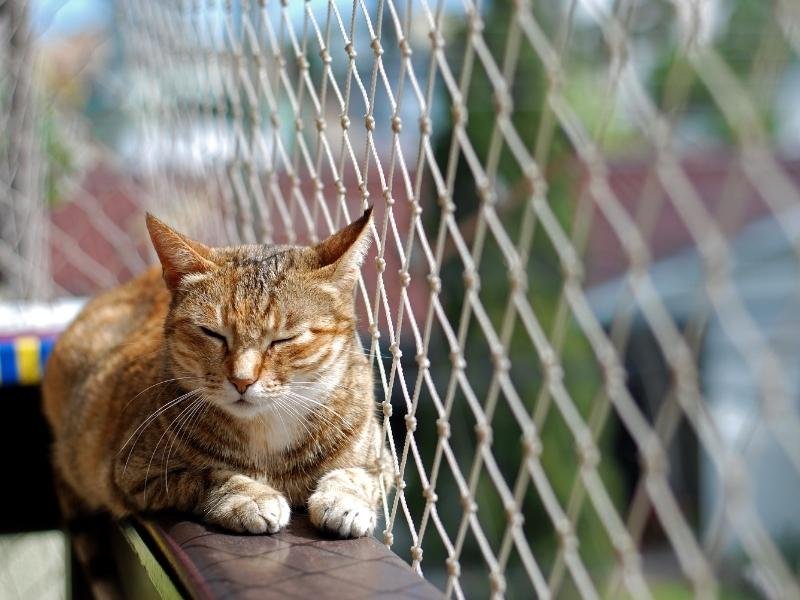 Tela de segurança de alta resistência em Belo Horizonte