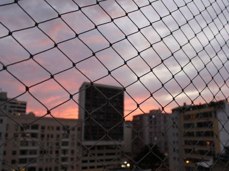 Rede de Proteção Belo Horizonte