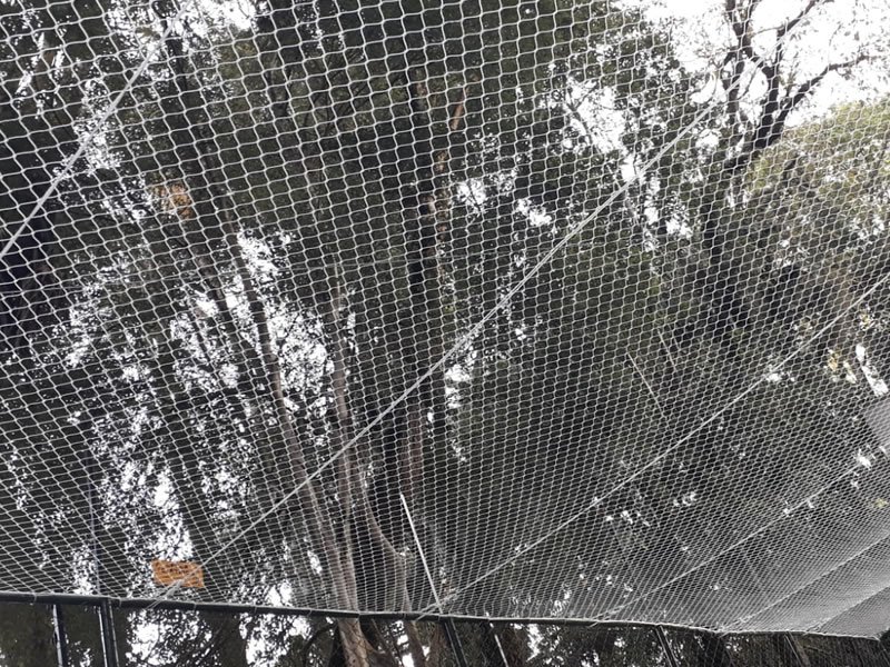 Tela de segurança com qualidade garantida em Região Centro‑Sul, Belo Horizonte