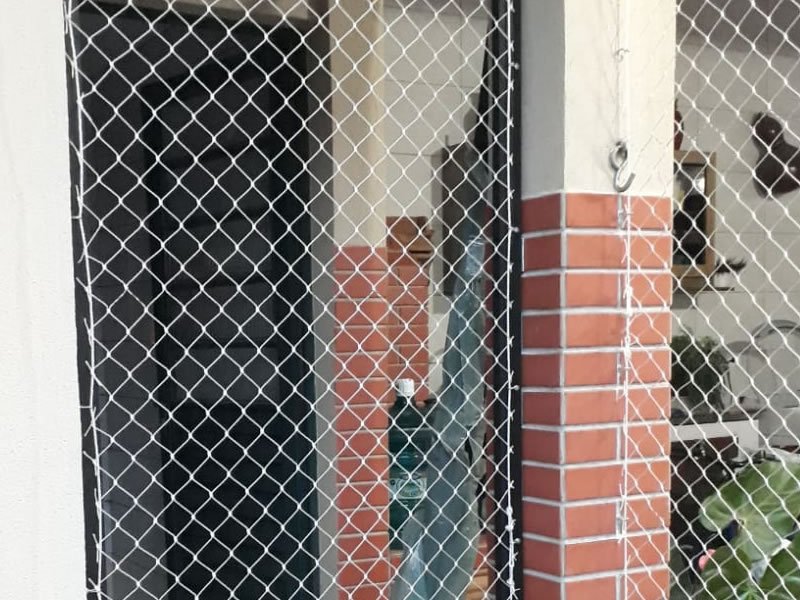 Rede de Proteção Belo Horizonte