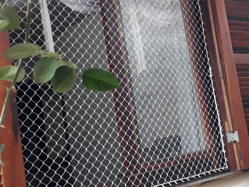 Tela de proteção para gatos Belo Horizonte